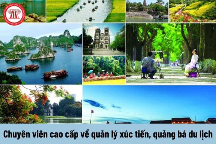 Xu hướng Phụ huynh “bắt trend”: Chọn: Hotspot Matrix tiết lộ bí quyết video viral