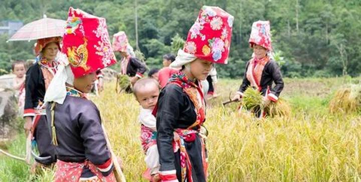 Làm Video Ngắn – Vừa Sáng Tạo, Vừa Kiếm Tiền Với Công Cụ Hữu Ích