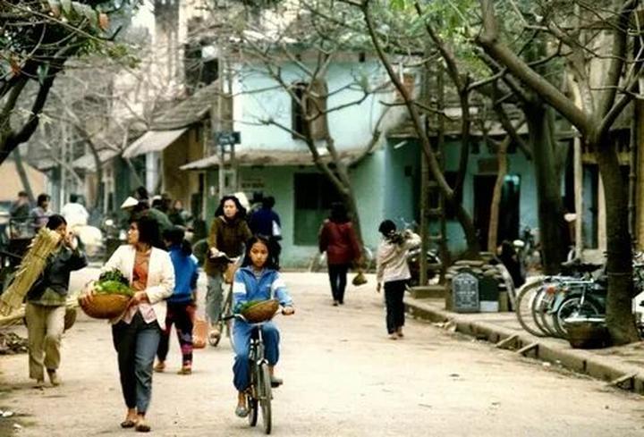 Chiếc quần